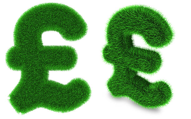 symbole de la livre sterling en herbe - pound symbol environment grass currency photos et images de collection