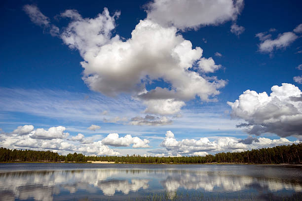 Evening in taiga. Lake with forest and blue twilight sky. Landscape from north of Europe.