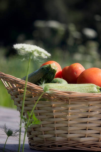 istock Basket full of vegetables 485383222
