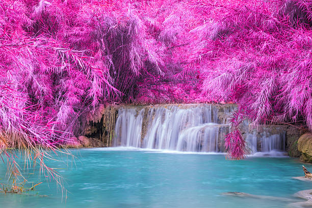 istock Waterfall in rain forest (Tat Kuang Si Waterfalls at Laos. 485383732
