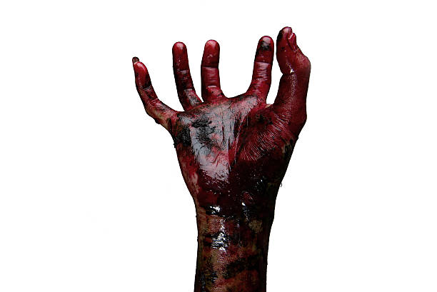 istock Bloody hands on a white background, zombie 485388112