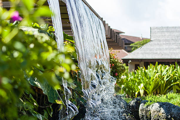 cascade décorative dans le jardin tropical - tropical climate waterfall formal garden ornamental garden photos et images de collection