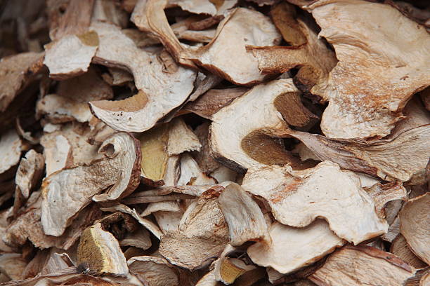 istock Dried Porcini mushrooms 485392906