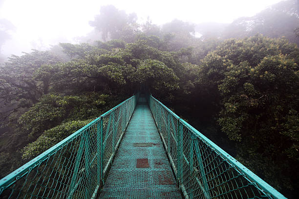 istock Hanging bridge in Monteverde cloud forest, Costa Rica 485395414