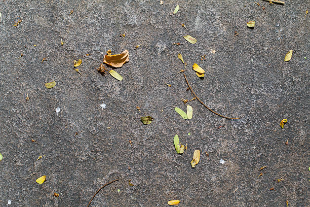 istock Dried leaves on the rock 485396652