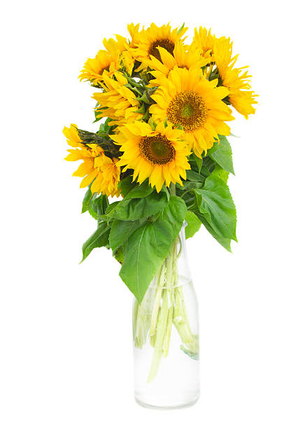 istock bouquet of bright sunflowers 485403150