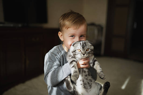 istock little funny boy hugs cat 485404786