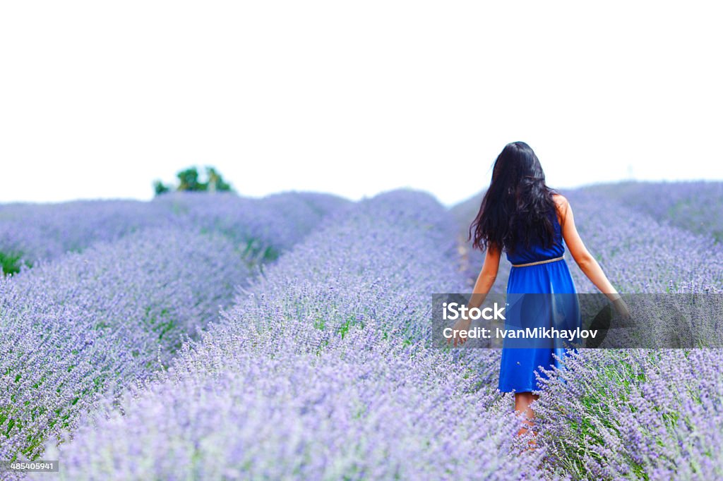 Donna in piedi in un campo di lavanda - Foto stock royalty-free di Campo