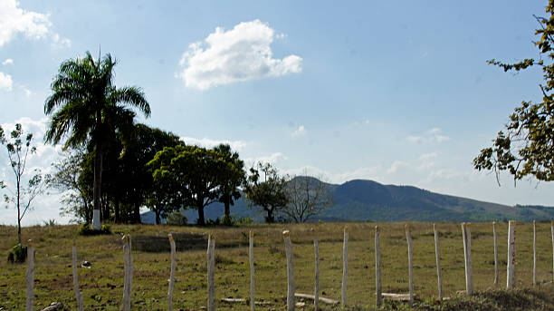 istock dominican landscapes 485406603