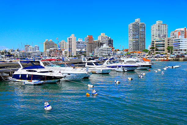 Punta Del Este, Uruguay! Marina yachts and city panorama Please, you can see here my MONTEVIDEO & URUGUAY COUNTRYSIDE collection!! racing boat photos stock pictures, royalty-free photos & images