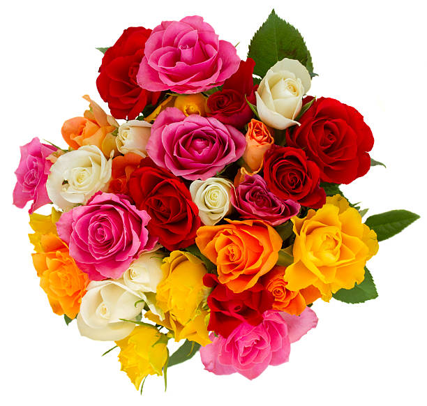 istock bouquet of fresh roses 485406952