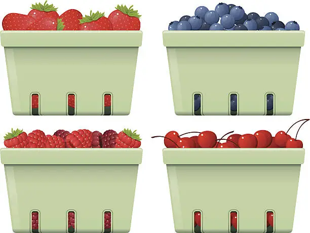 Vector illustration of Fruit Baskets