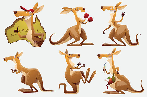 illustrations, cliparts, dessins animés et icônes de ensemble de kangourous - kangaroo animal humor fun