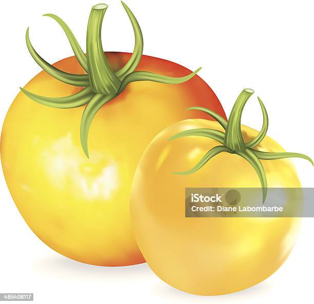 Ilustración de Amarillo Tomate Heirloom y más Vectores Libres de Derechos de Amarillo - Color - Amarillo - Color, Anticuado, Color vibrante