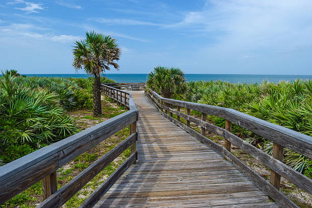 istock Boardwalk at Canaveral National Seashore 485409474