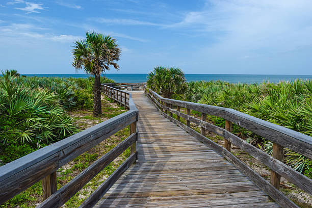 Boardwalk at Canaveral National Seashore A wooden boardwalk among palmettos and sabal palms leads to the Atlantic Ocean. daytona beach stock pictures, royalty-free photos & images
