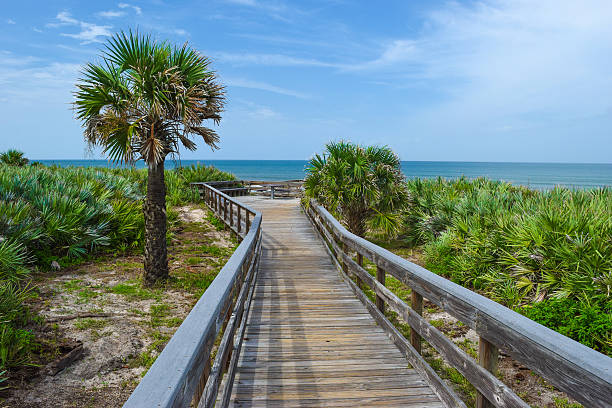 istock Boardwalk at Canaveral National Seashore 485409478