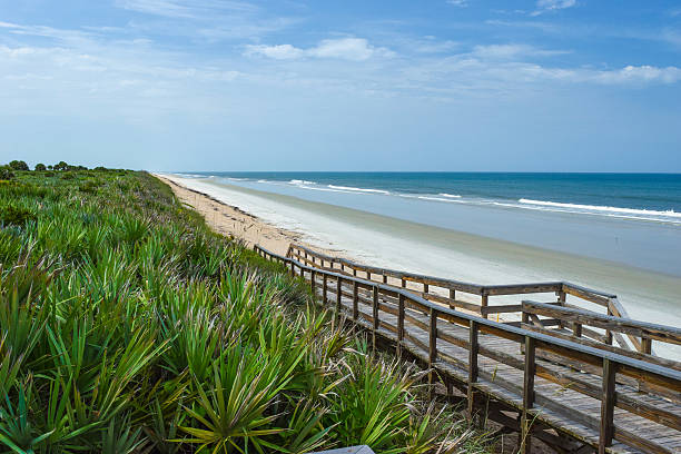 Florida Beach at Canaveral National Seashore A wooden boardwalk descends past dunes and palmettos to an empty white sand beach on the Atlantic Ocean. daytona beach stock pictures, royalty-free photos & images