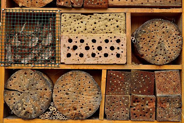 istock Insect hotel in the forest 485409608