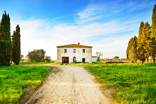 Old abandoned rural house, road and trees on sunset in spring.Tuscany, Italy