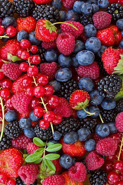 istock bluberry, raspberry, blackberry and red currrunt 485410189
