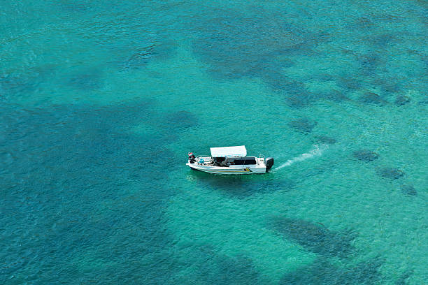 istock Speed boat sailing in the sea 485410461