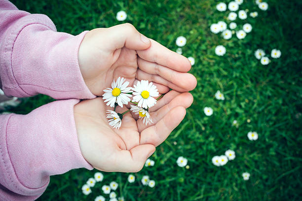 frühling 공식적으로 확인할 것입니다 - darstellung 뉴스 사진 이미지