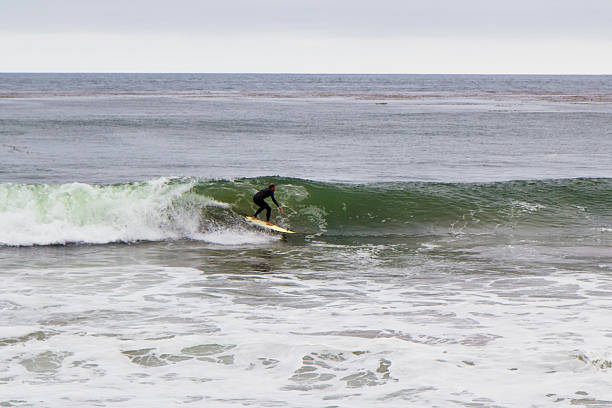 surfer stock photo