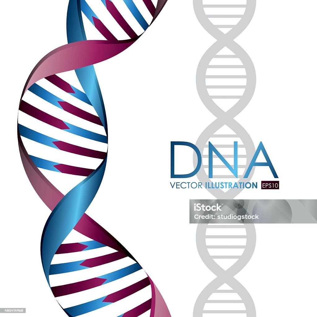 Nice Dna Graphics Dna Design Vector Illustration Stock Illustration - Download Image Now ...
