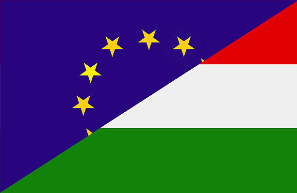 ilustraciones, imágenes clip art, dibujos animados e iconos de stock de la unión europea y bandera húngara - hungary hungarian culture hungarian flag flag