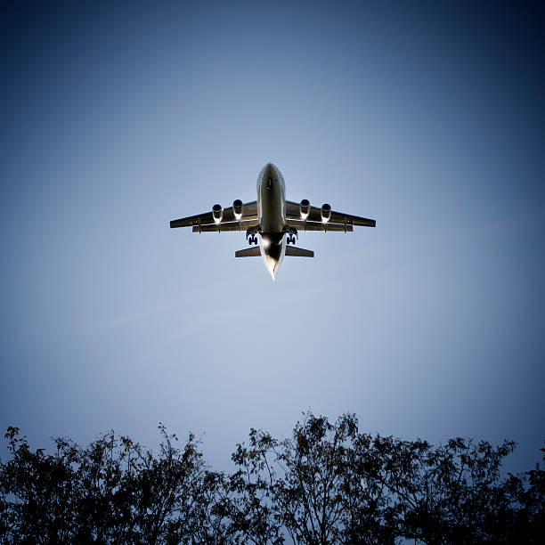 istock Landing cargo airplane at dusk - low-angle view 485418118