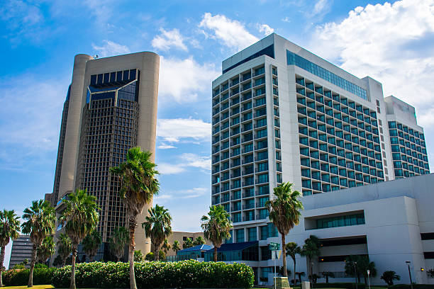 istock Corpus Christi Skyline Downtown Palm Tree Tropical Coastline 485421018