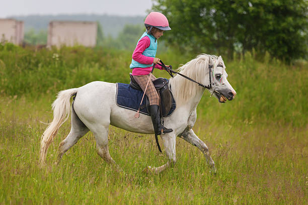 Young girl confident galloping horse on the field stock photo