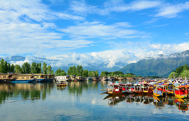 shikara bateaux sur le lac dal, shrinagar - jammu et cachemire photos et images de collection