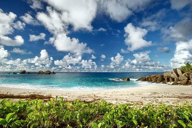 istock Beautiful cloudy seascape in daylight, vacation background 485423142