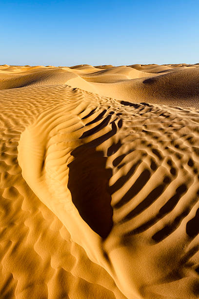 il silenzio del deserto e crea nuovi modelli delle linee - great sand sea foto e immagini stock