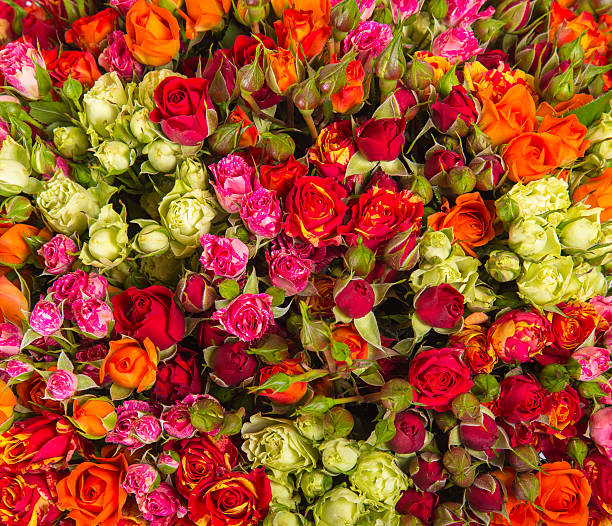 istock Small roses bouquet close up 485426054