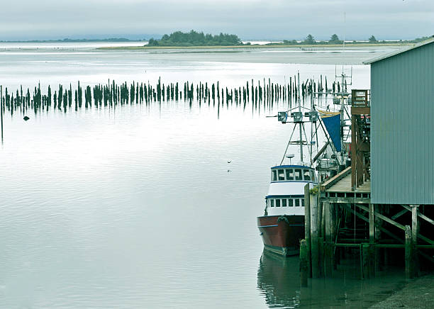 istock Trawlers in harbor from Pacific Ocean at Washington state 485427640