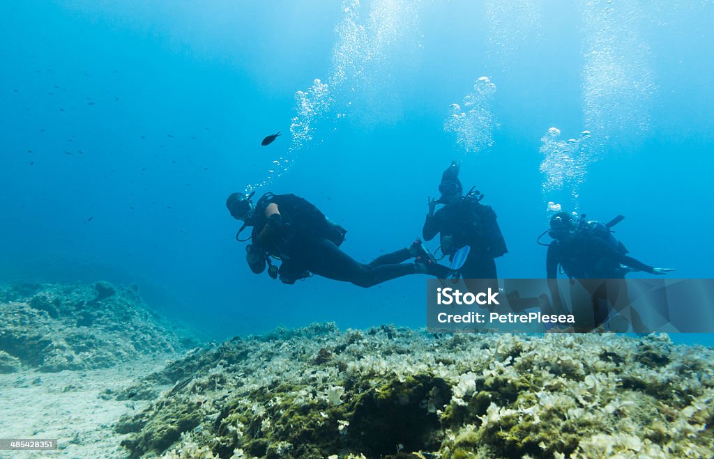 https://media.istockphoto.com/id/485428351/photo/scuba-divers-underwater-diving-deep-sea-bottom.jpg?s=1024x1024&w=is&k=20&c=RQI2hSnDYyf_RryB__dYrVy1vt4QcfHXnn-zYTTYZGo=