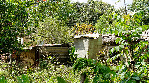 istock dominican landscapes 485428649