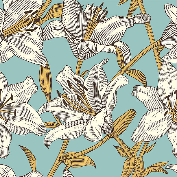 pattern vector art illustration