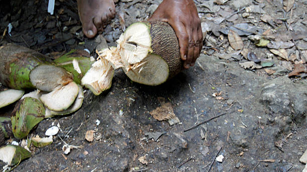 istock dominican fruits 485428767