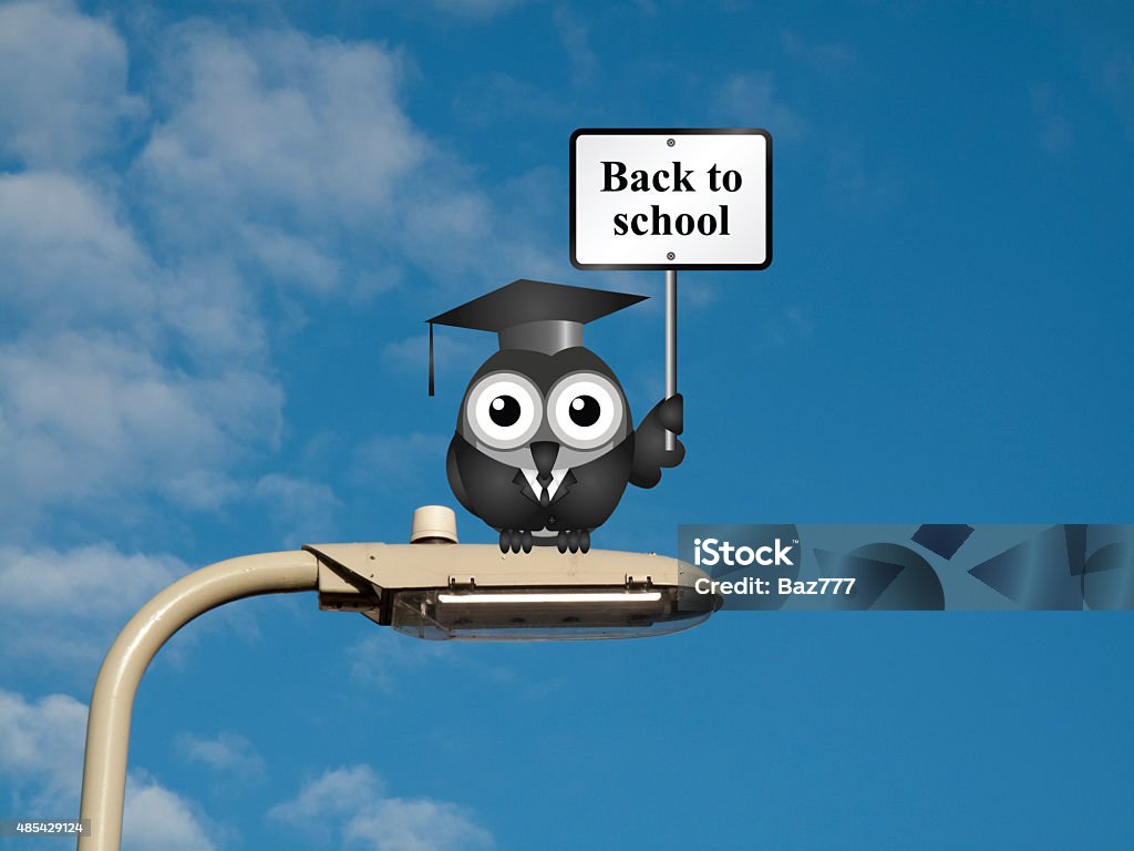 Back to school Comical bird teacher with back to school sign sat on a lamp post against a blue sky background 2015 Stock Photo