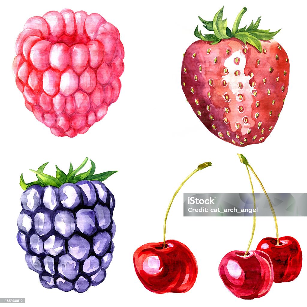 watercolor drawing blackberry watercolor drawing blackberry, artistic painting berry, hand drawn vector illustration 2015 stock illustration