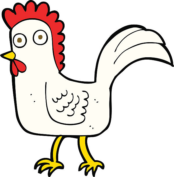 cartoon chicken cartoon chicken crazy chicken stock illustrations