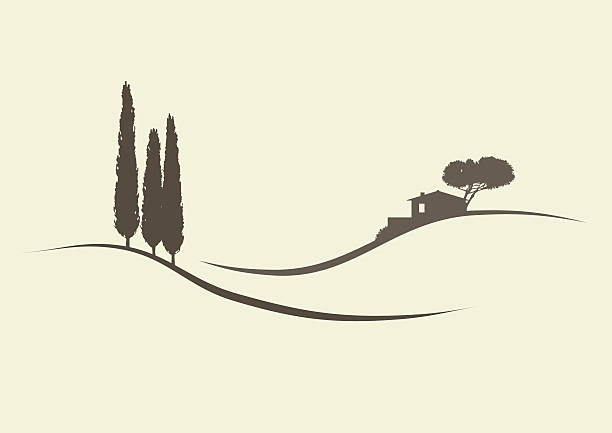 ilustraciones, imágenes clip art, dibujos animados e iconos de stock de tuscanian paisaje - tuscan cypress