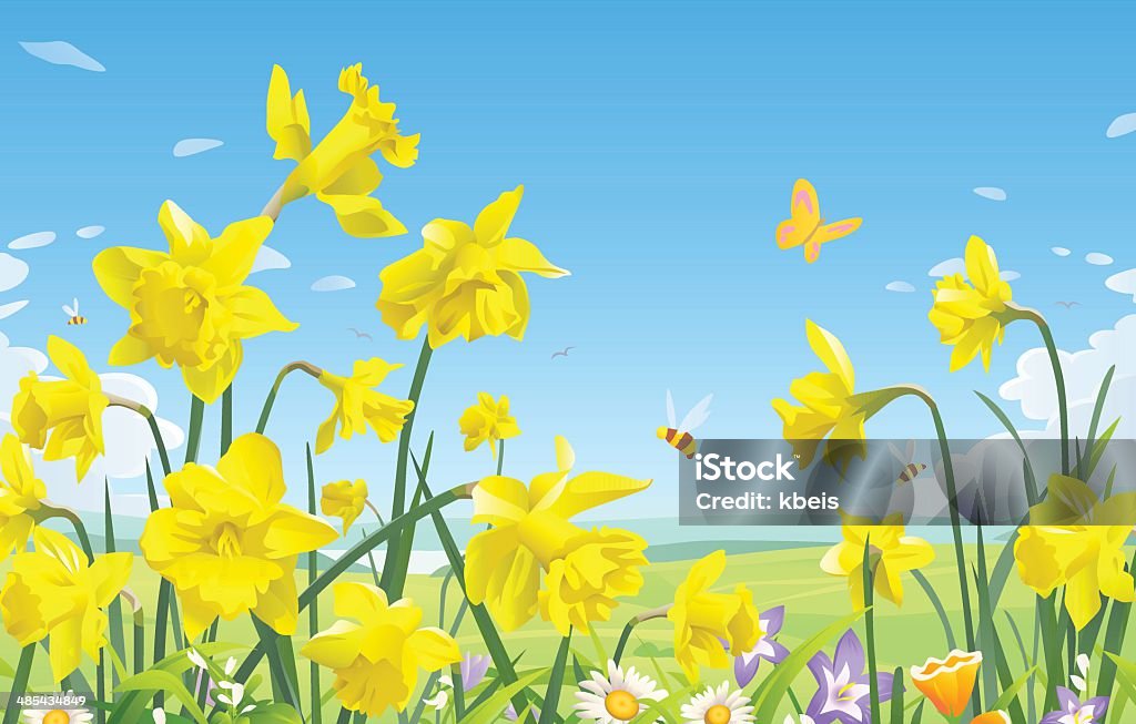 Daffodils A meadow full of daffodils, bees and butterflies and blue sky in the background. EPS 8, fully editable, grouped and labeled in layers. Daffodil stock vector