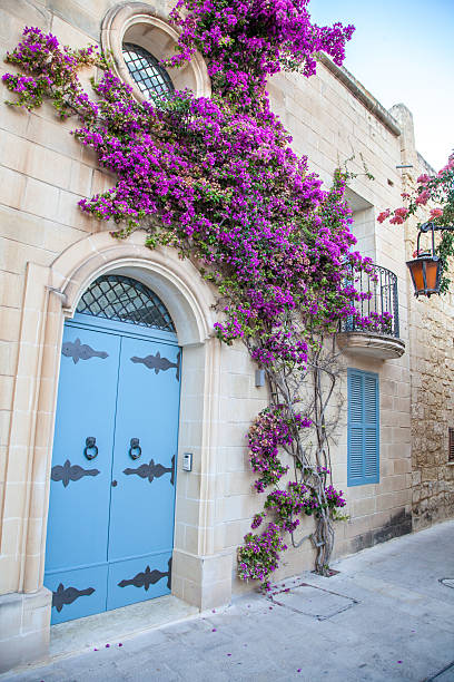 istock Historical town Mdina, Malta 485436142