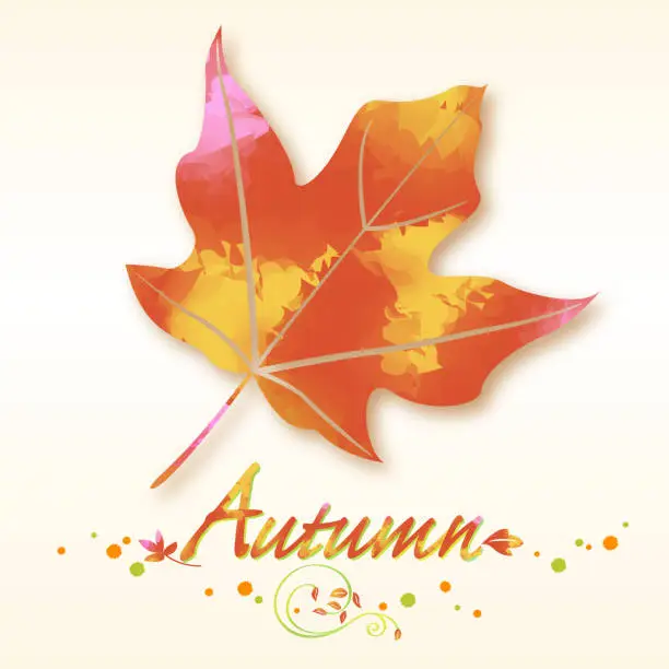 Vector illustration of Autumn leaf symbol