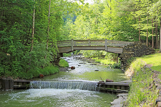istock Wooden bridge over Stony Brook 485436686